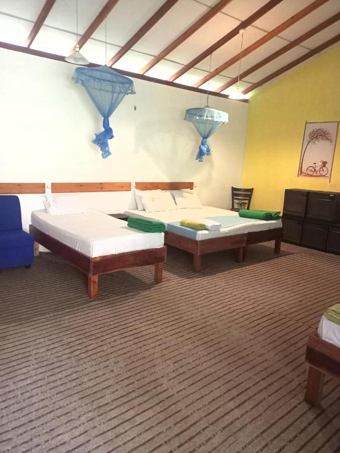 Ella Foret Hostel 외부 사진